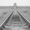 Auschwitz Birkenau