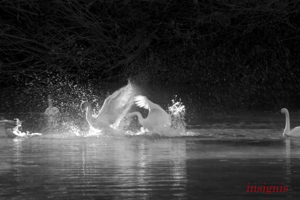 Flashdance.......