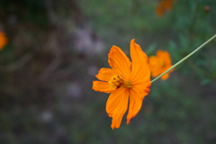 DSC04175