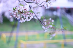 大阪城のちかく
