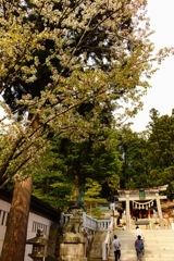桜山八幡宮