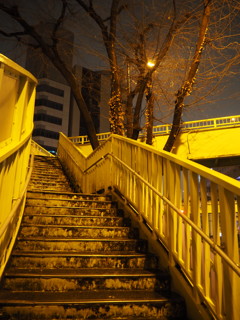深夜の歩道橋