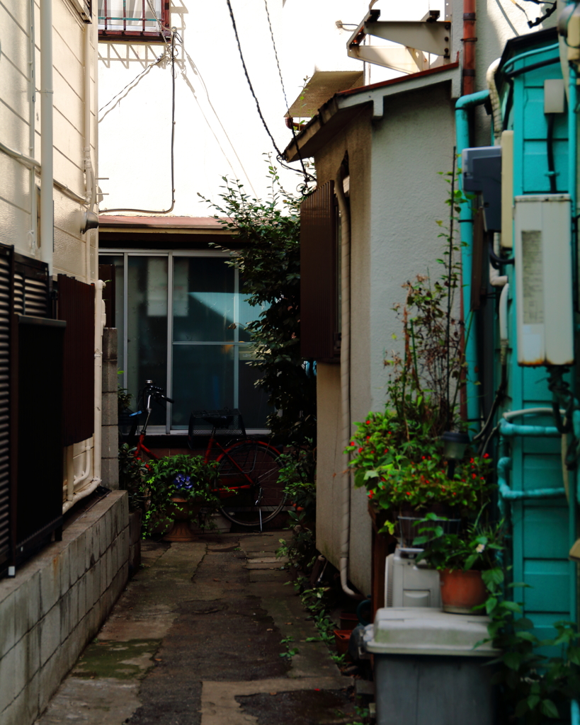 路地