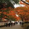 紅葉谷公園4