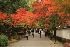 紅葉谷公園1