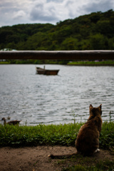 ぼーっとしてます。