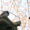 寝させてくれよ～