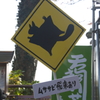 お茶目