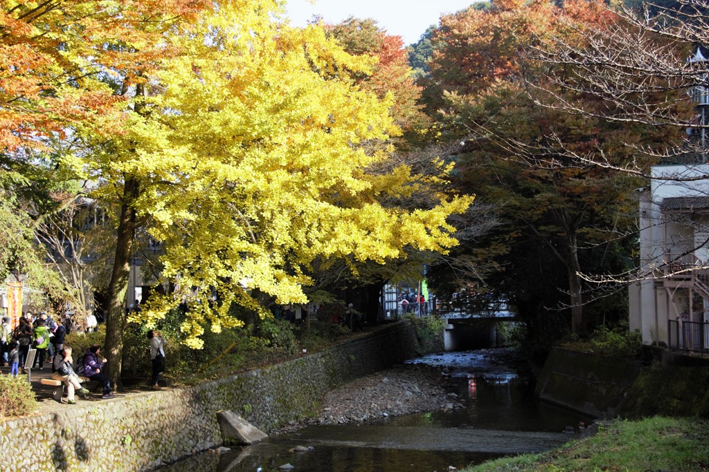 高尾山　紅葉　3