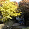 高尾山　紅葉　3