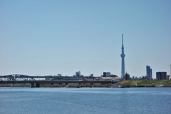 スカイツリーと屋形船と。