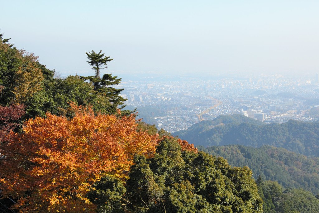 高尾山　紅葉　8
