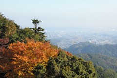 高尾山　紅葉　8