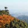 高尾山　紅葉　8