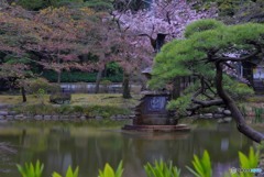 鶴の噴水 (2)