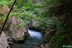 西沢渓谷（１2）
