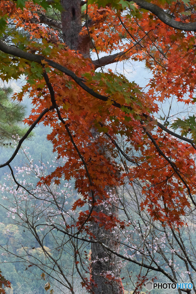 DSC_0093_832
