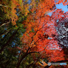 DSC_0045_946