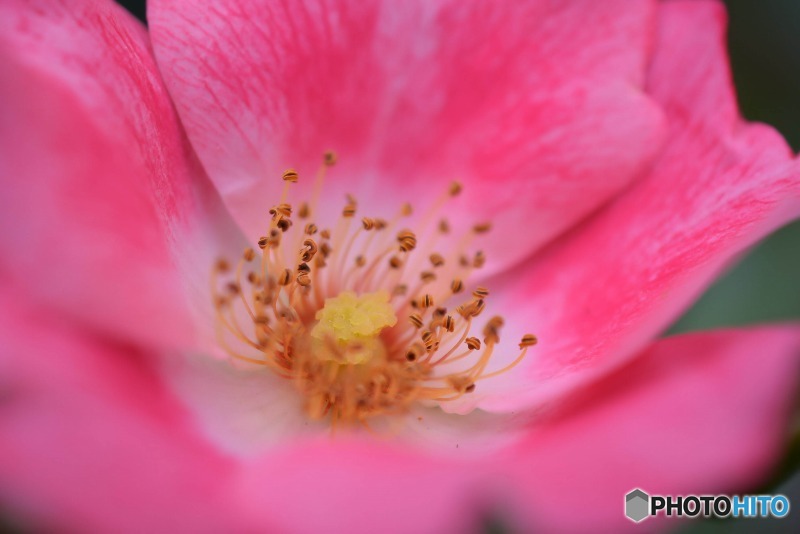 s-DSC_0072_2283