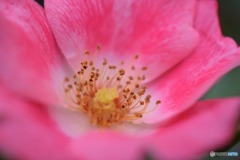 s-DSC_0072_2283