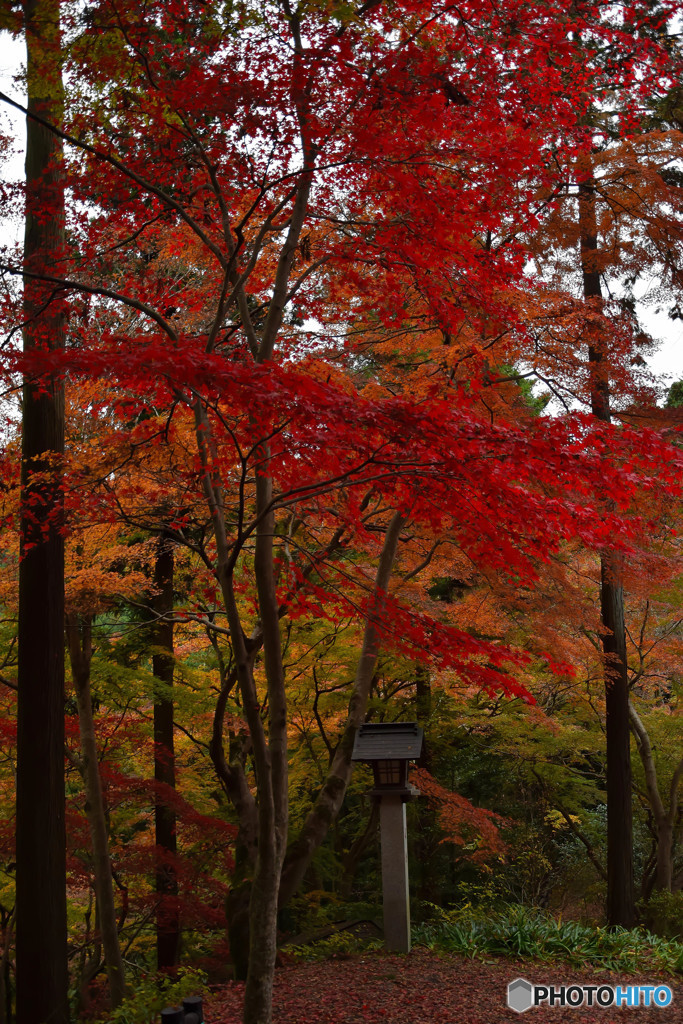東郷公園 (24)