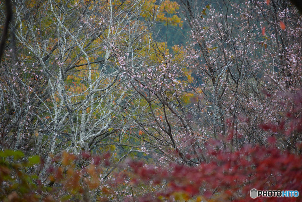 DSC_0039_797