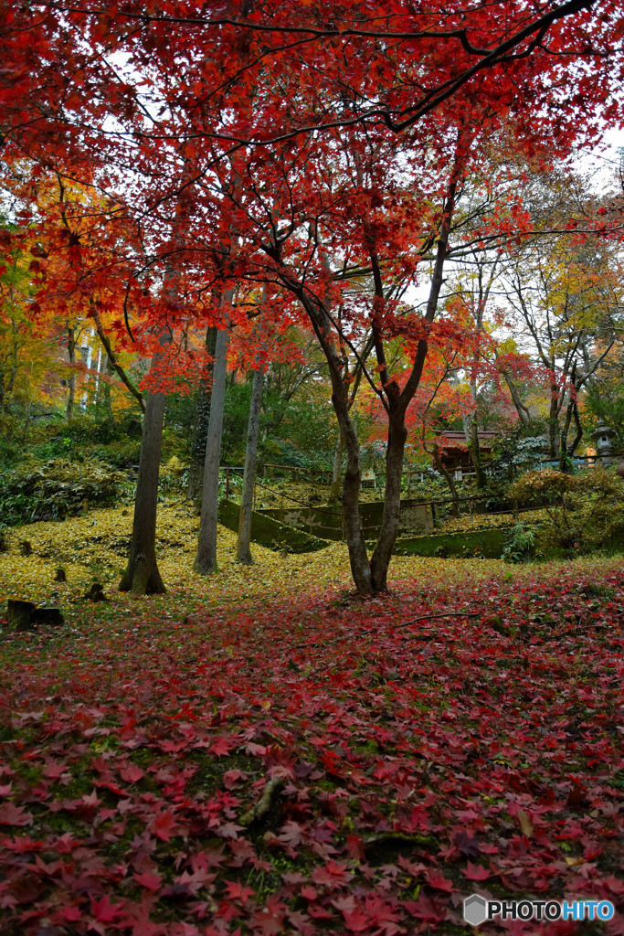 東郷公園 (2)