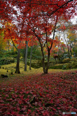 東郷公園 (2)