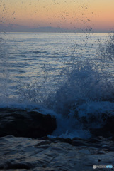 DSC_0500