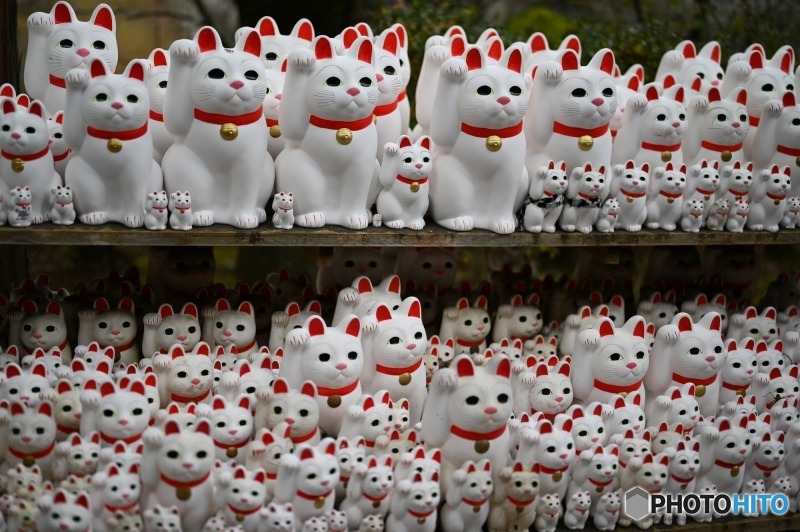 s-DSC_0039_15140