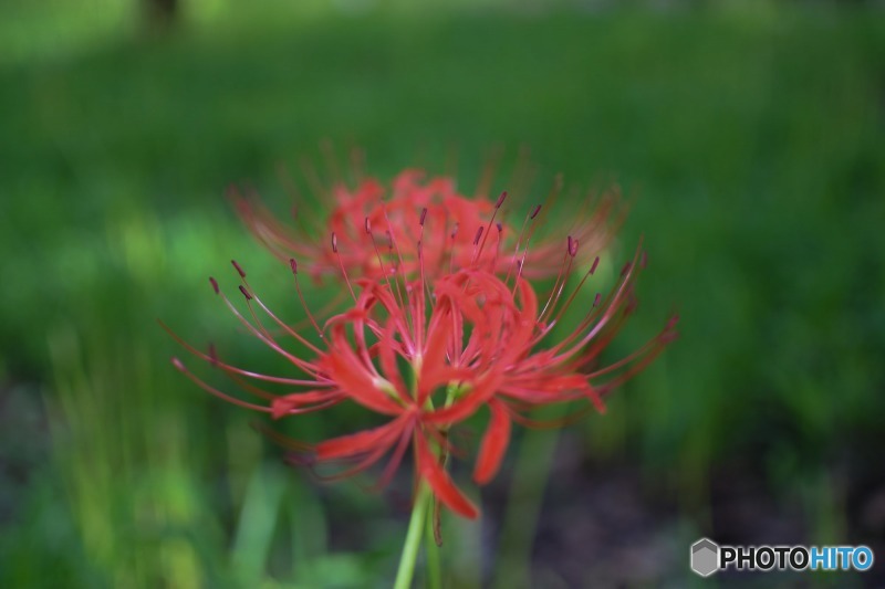 s-DSC_0078_8997