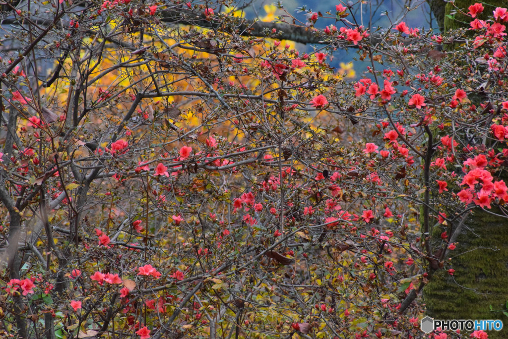 DSC_0150_878