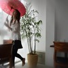 s-DSC_0359