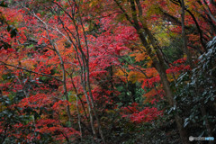 東郷公園 (9)