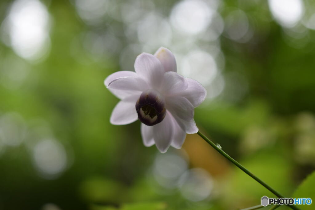 DSC_0094_6748