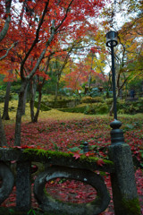 東郷公園 (6)