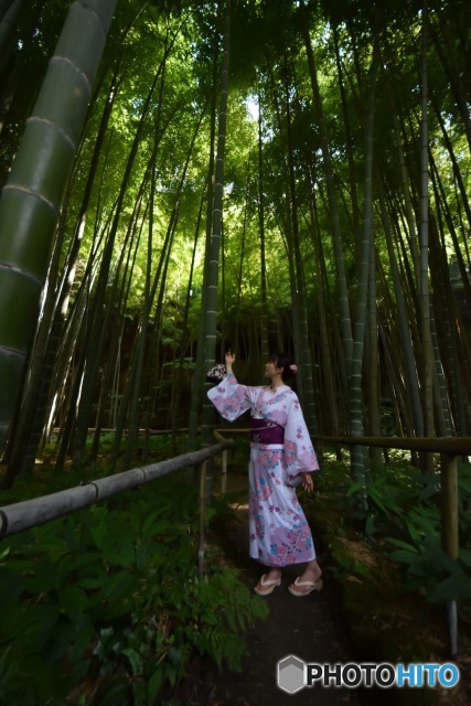竹林 (2)