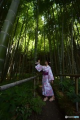 竹林 (2)