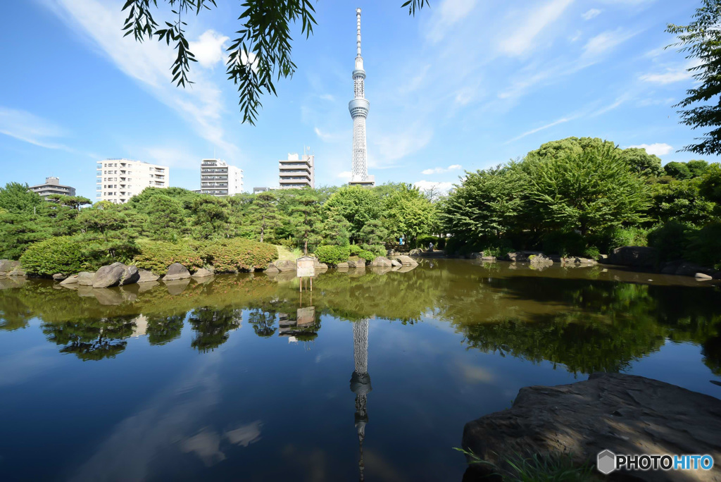 スカイツリー (3)