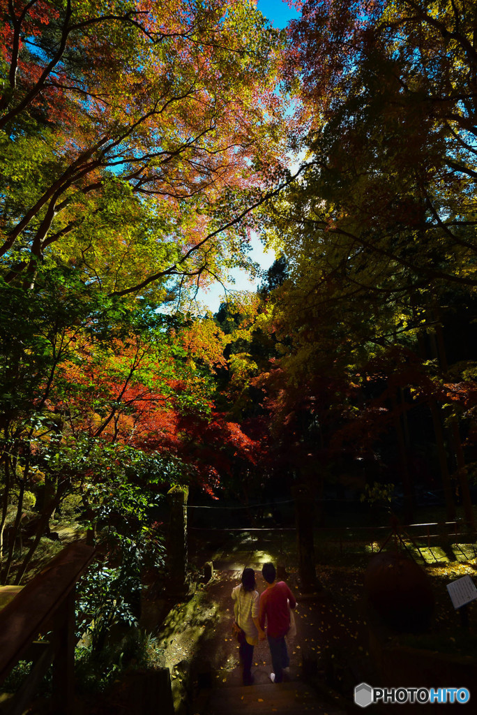 DSC_0052_951