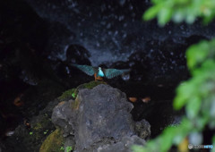 DSC_0192_2671