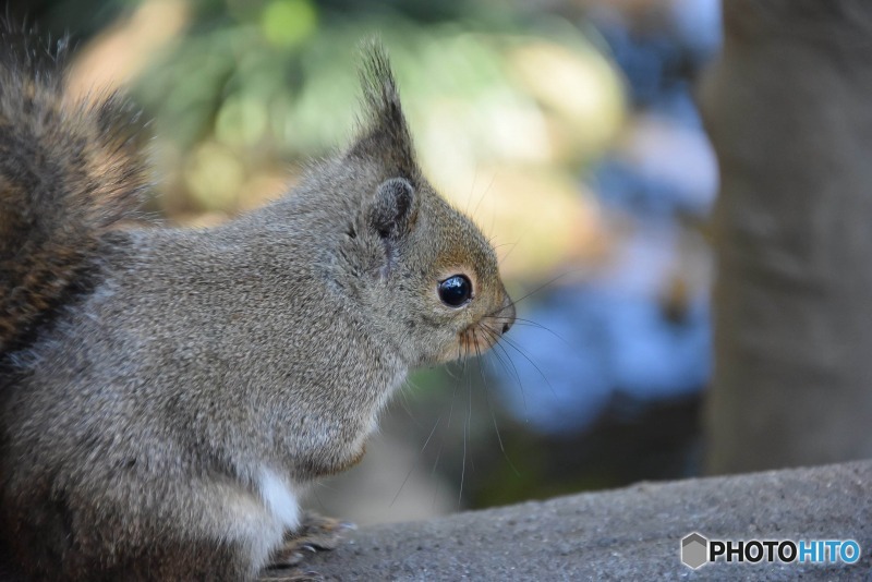 s-DSC_0637_1152