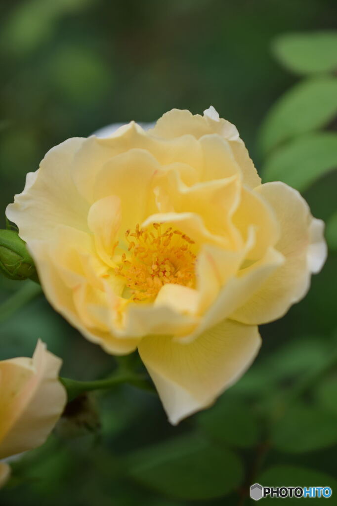 DSC_0008_6692
