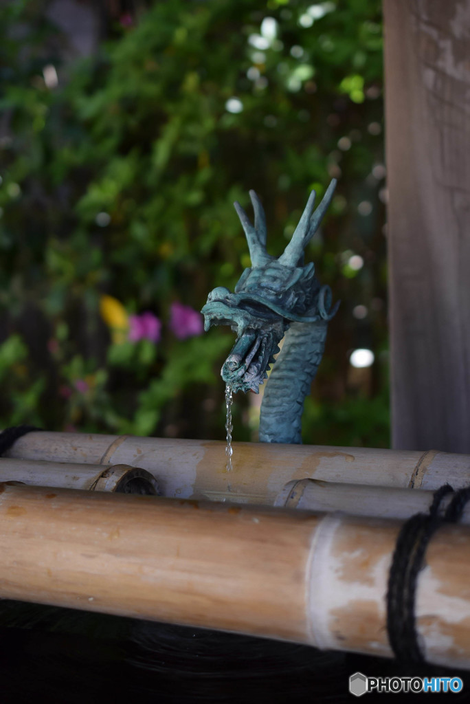 DSC_0035_1308