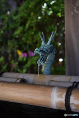 DSC_0035_1308