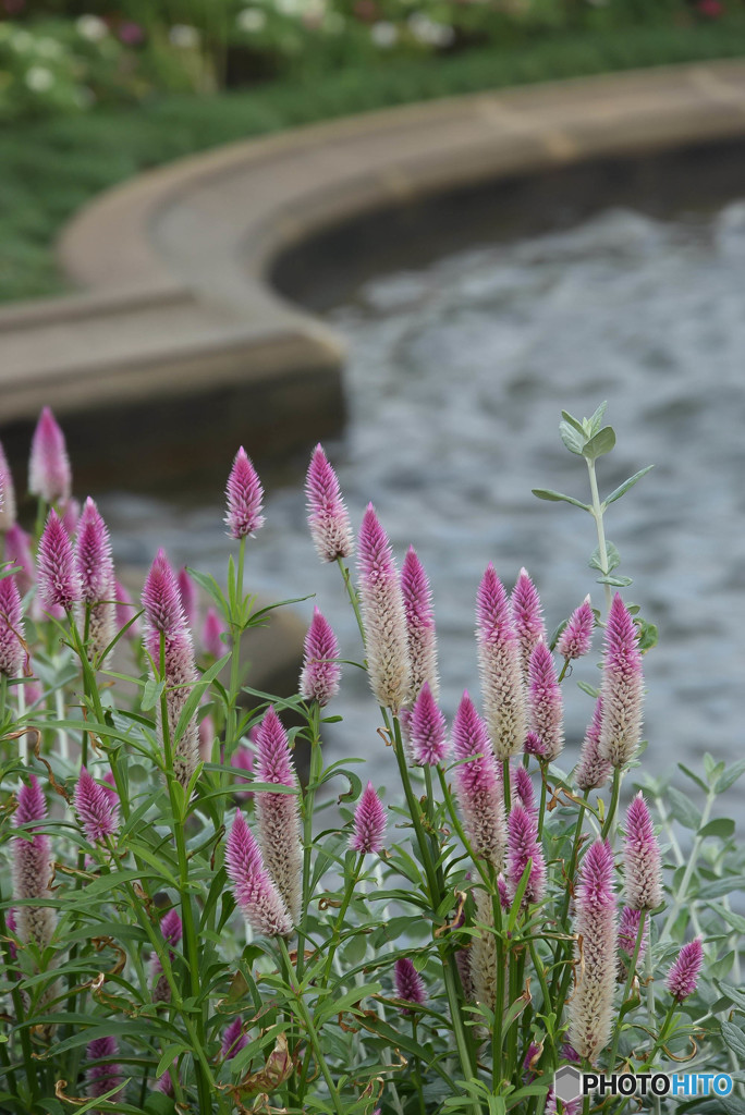 DSC_0011_083