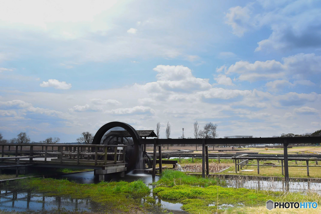 霞ケ浦総合公園 (3)