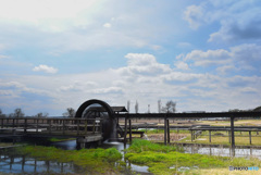 霞ケ浦総合公園 (3)