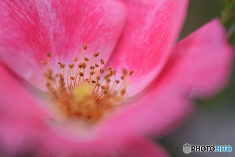 s-DSC_0070_2281