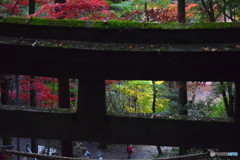 東郷公園 (19)